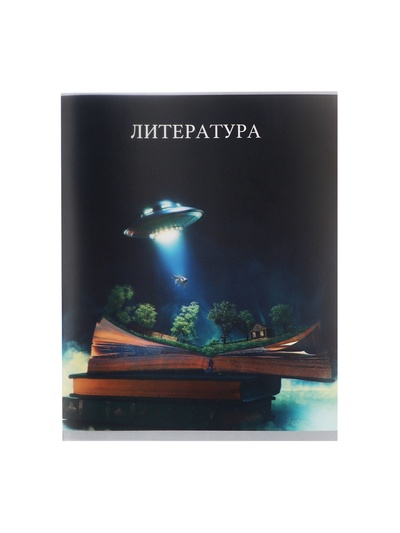 Предметная тетрадь по литературе Calligrata TOP «Школьный стиль», 48 листов, в линейку, со справочным материалом, пластиковая обложка