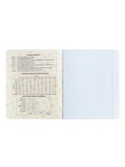 Предметная тетрадь по алгебре Calligrata TOP «Абстракция», 48 листов, в клетку, со справочным материалом, обложка из мелованного картона - Фото 5