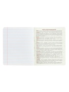 Предметная тетрадь по литературе Calligrata TOP «Абстракция», 48 листов, в линейку, со справочным материалом, обложка из мелованного картона - Фото 6