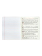 Предметная тетрадь по литературе Calligrata TOP «Абстракция», 48 листов, в линейку, со справочным материалом, обложка из мелованного картона - Фото 7