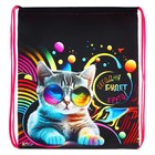 Мешок для обуви 490 х 410 мм, Оникс МО-27-1, "Кот на стиле" - фото 24431910