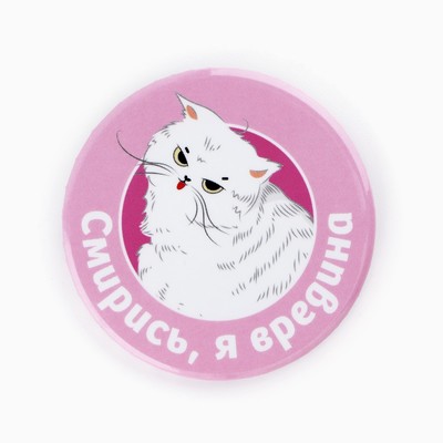 Значки закатные «Свой вайб», d=5.6 см, МИКС