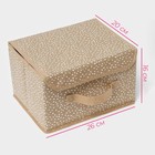 Короб для хранения Доляна Points, 26×20×16 см, бежевый - Фото 3