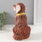 Копилка  "Пес Тузик" коричневый,  21.5 см - Фото 3