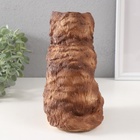 Фигурка гипс «Котенок Василий», 19×11×14 см - фото 26209191