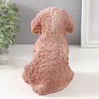 Фигурка "Щенок Пудель " 14,5 х 10 х 14 см. - фото 26209192