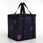 Термосумка на молнии, 18 л, цвет фиолетовый - фото 24402187