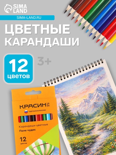 Карандаши цветные «Красин. Поле чудес», трёхгранные, заточенные, европодвес, 12 шт.