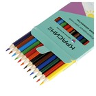 Набор карандашей цветных Красин "Яркие моменты", шестигранные, заточенные, европодвес, 12 штук - Фото 2
