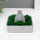 Кашпо бетонное "Храм Солнца" высота 8 см 11,5х11,5 см серебро со мхом (мох зелен. стабилиз) - фото 321670384