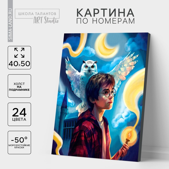 Картина по номерам на холсте с подрамником «Волшебство рядом», 40×50 см - Фото 1