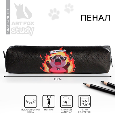 Пенал школьный, искусственная кожа«Нервы»19×8×3 см