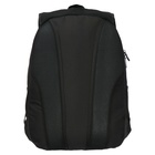 Рюкзак молодёжный, 42 х 31 х 13 см, эргономичная спинка, Stavia "Лапка", чёрный - Фото 6
