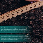 Линейка для посадки семян, 30 см, Greengo - Фото 2