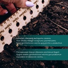 Линейка для посадки семян, 40 см, Greengo - Фото 2