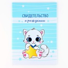 Папка для свидетельства о рождении «Наш котёнок», голубая для мальчика, 23,1 х 30,7 см, А4 - фото 24358899