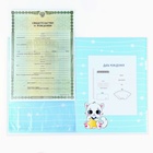 Папка для свидетельства о рождении «Наш котёнок», голубая для мальчика, 23,1 х 30,7 см, А4 - фото 24358902