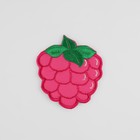 Термоаппликация «Малина», 5,2 ? 6 см, цвет малиновый (комплект 3 шт) - фото 24394084 Термоаппликация «Малина», 5,2 ? 6 см, цвет малиновый (комплект 3 шт) - фото 24394084