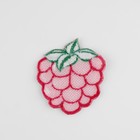 Термоаппликация «Малина», 5,2 ? 6 см, цвет малиновый (комплект 3 шт) - фото 24394085 Термоаппликация «Малина», 5,2 ? 6 см, цвет малиновый (комплект 3 шт) - фото 24394085