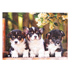 Пазлы «Забавные щенки №2», 104 элемента - фото 24461766