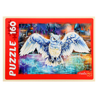 Пазлы «Волшебная сова №2», 160 элементов - фото 24461800