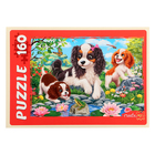 Пазлы «Щенки у пруда», 160 элементов - фото 24461815