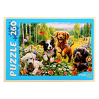 Пазлы «Весёлые щенки», 260 элементов - фото 24461823