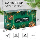 Новогодние салфетки бумажные в коробке «Новый год! Зимняя сказка», 100 шт, двухслойные - фото 321671562