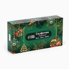 Салфетки бумажные в коробке «Новый год! Зимняя сказка», 100 шт., двухслойные - Фото 2