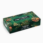 Салфетки бумажные в коробке «Новый год! Зимняя сказка», 100 шт., двухслойные - Фото 3