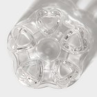 Чайный набор Bella Tenero «Эко», 6 предметов: чайник 900 мл, подставка, 4 пиалы 130 мл, стекло, прозрачный - Фото 7