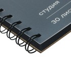 Альбом для графики А4, 210 х 297 Гамма, "Студия" 30 листов, на гребне 140г/м, черный - фото 24432752
