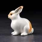 Сувенир «Кролик декоративный», 9х9х10 см, ручная работа, фарфор - фото 24394369