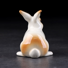 Сувенир «Кролик декоративный», 9х9х10 см, ручная работа, фарфор - фото 24394370