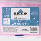 Органайзер для хранения RICCO, пластик, 15 ячеек, 17,5×10×2,2 см, цвет МИКС - Фото 11