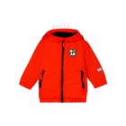 Ветровка для мальчика PlayToday, рост 80 см - Фото 6