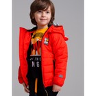 Куртка демисезонная для мальчика PlayToday, рост 122 см - Фото 6