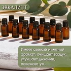 Набор эфирных масел 12 шт "Эвкалипт" 15 мл, под ваш бренд и дизайн - Фото 2