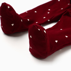 Ползунки детские "Мишка", цвет бордовый, рост 62 - фото 24535892