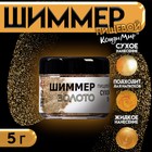 Шиммер, золото, размер 20-200, 5 г - Фото 1