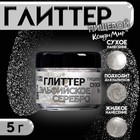 Глиттер, эльфийское серебро, 5 г - Фото 1