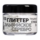 Глиттер, эльфийское серебро, 5 г - Фото 2
