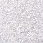 Глиттер, эльфийское серебро, 5 г - Фото 4