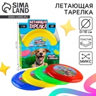 Фрисби, летающая тарелка «Пёсик», 18 см, в шоубоксе, МИКС - Фото 1