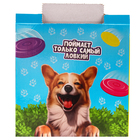 Фрисби, летающая тарелка «Пёсик», 18 см, в шоубоксе, МИКС - Фото 11