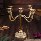 Подсвечник на 5 свечей «Дворцовые тайны», 20 см, латунь, перламутр - Фото 2