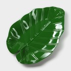 Блюдо для подачи «Лист», пластик, 25×17×2 см, зелёное - Фото 1