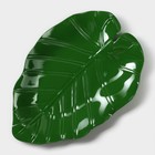 Блюдо для подачи «Лист», пластик, 25×17×2 см, зелёное - Фото 2