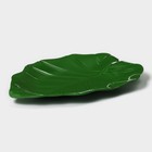 Блюдо для подачи «Лист», пластик, 25×17×2 см, зелёное - Фото 4