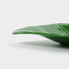 Блюдо для подачи «Лист», 25×17×2 см, цвет зелёный - Фото 4